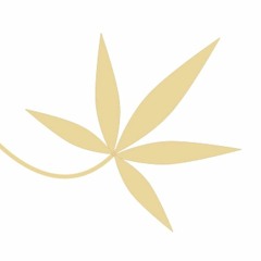 PureHempPaper