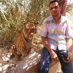 محمود اسعد