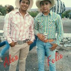 Josee Rodriguez Martinez