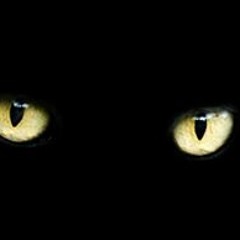 Angela Rosa Torres Bravo