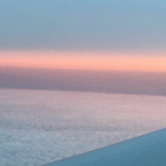 LOVE LETTERS FROM ABOVE