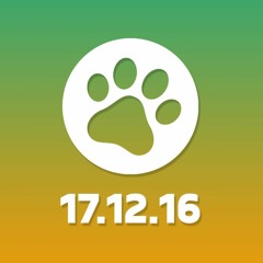 The Petting Zoo Festival