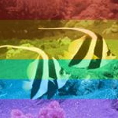 ジェノバ メアリー