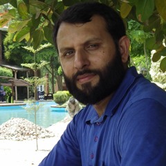 zia ul murtaza