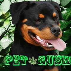 PET_RUSH