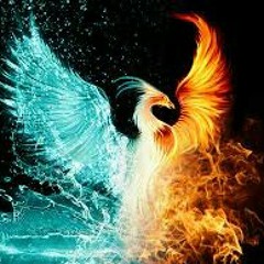 the flaming phoenix