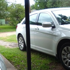 Tish