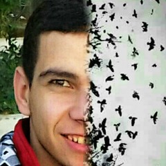 Ahmed Mostafa