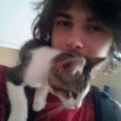 Hamcat