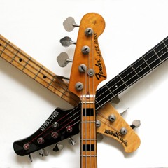 Bass Guitar Bonanza