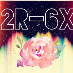 2R-6X