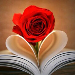 yassin snno