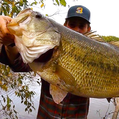 Download Stream 618 Fishing Music Listen To Songs Albums Playlists For Free On Soundcloud