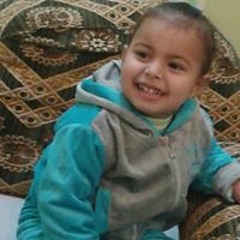 Shohdy Kamel