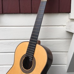 Anthony DeMers Classical Guitar