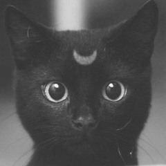 Felix