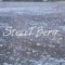 steve T berg