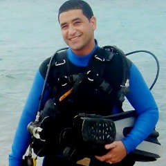 Mohammad Hamdan