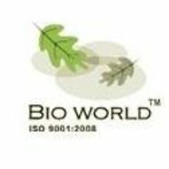 Areca Leaf Plates - Palm Leaf Plates