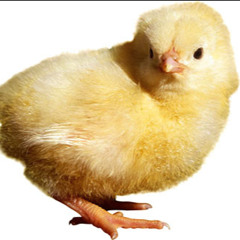 danielcal2002.lundberg