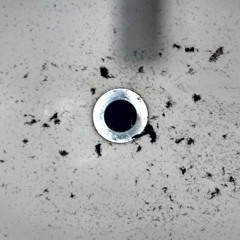 IT IS A MIRACLE THAT WE ARE ALIVE