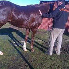 Rodrigo Lamadrid Ramos