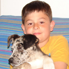 albert muñoz montull