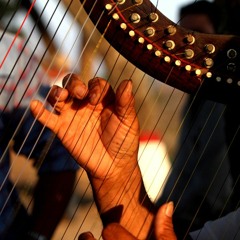 Golondrina Errante JORGE GUERRERO 2015