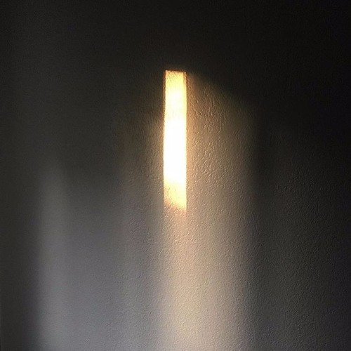 Dog Shelter -Burial- (Toy Light Remix)