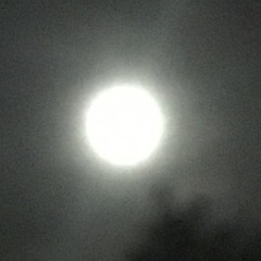 manhattan art collective