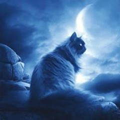 Daniel Macedo Martinez