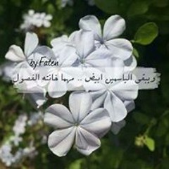 ياسمين الشام