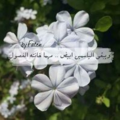 ياسمين الشام’s avatar