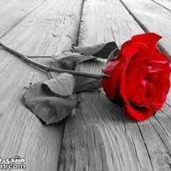 ĴǿǾĵǿ. Íśɱặíł