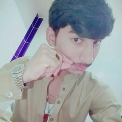 Ghulam Mustafa Domki