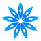 zenbacteria