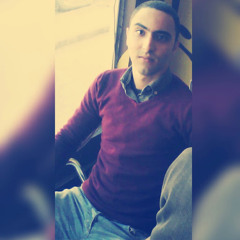 Mahmoud Mohamed Mousaa