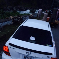 umartareef