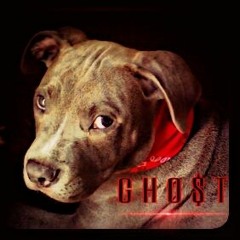 @.L.C -On ThA sLaPzZ- AkA {O.G.}