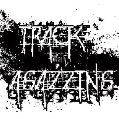 TrackAsazzins
