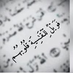 Bassem M. Mohamed