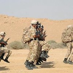 احمد عيسي