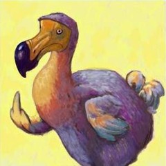 dadodo