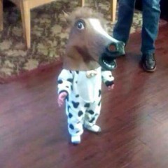 ismaellopez310 lopez