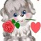 user215167662