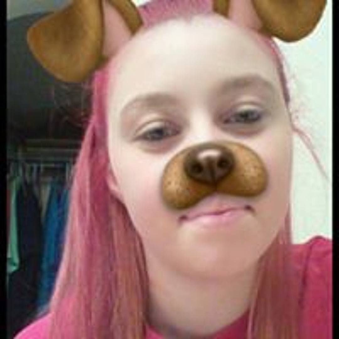 Taylor Shay's Instagram, Twitter & Facebook on IDCrawl