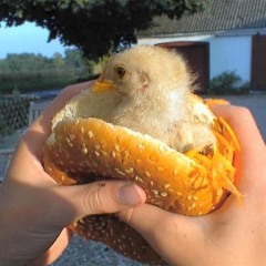 Bulbtastic