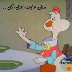 Rehaab Elseweisy