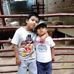 Gustavo Alonso Tapia