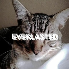 everlastedtx